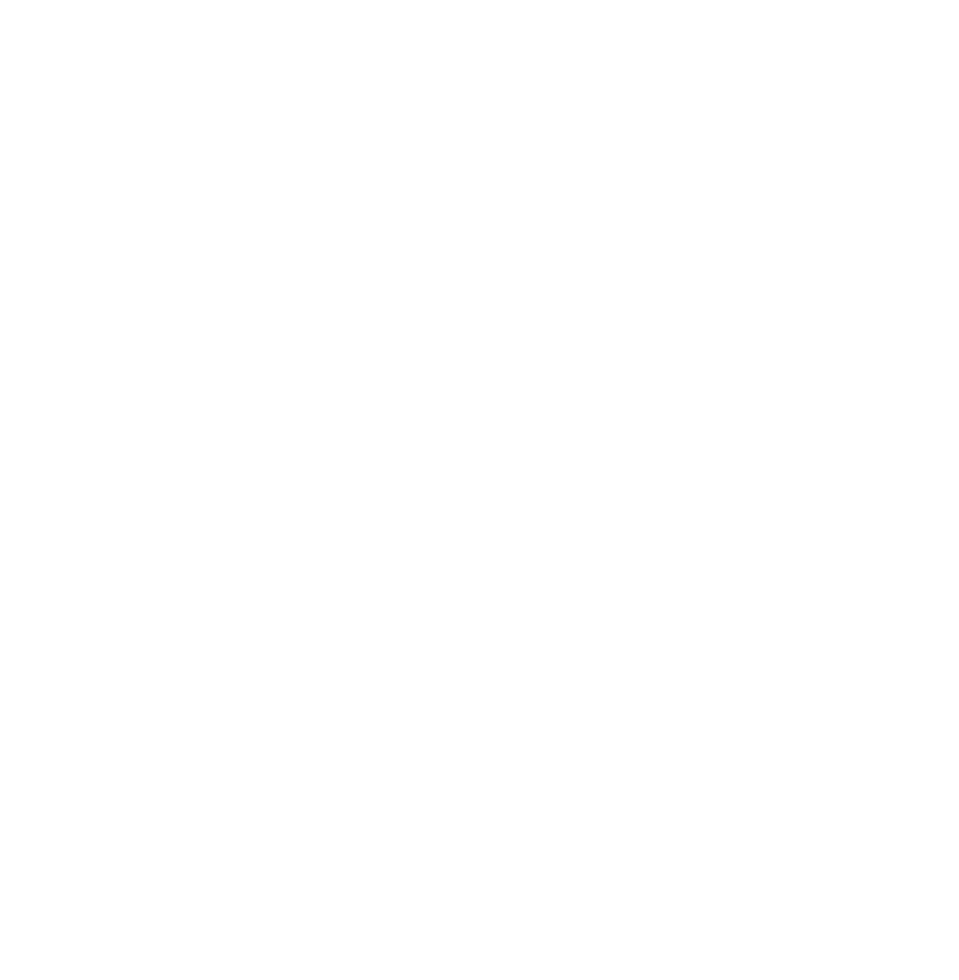Professional Networkers White Logo